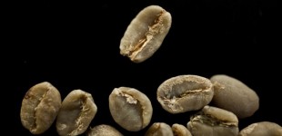 Why do you roast your own coffee?