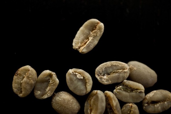 5394004052_c757e30b3b_b-625x416